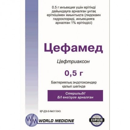 Tsefamed 0.5 g, rast.2 ml of 1% solution of lidocaine 1's powder for solution for injection