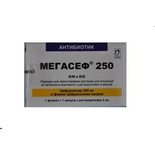 Megasef 250 mg 1's powder for injection / m