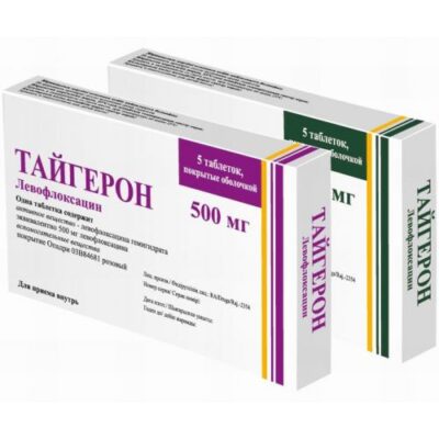 Taygeron 5's 500 mg coated tablets